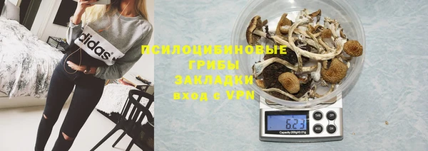 стаф Снежинск