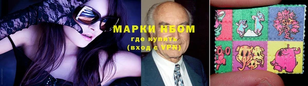 молекула духа Снежногорск