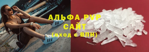 стаф Снежинск