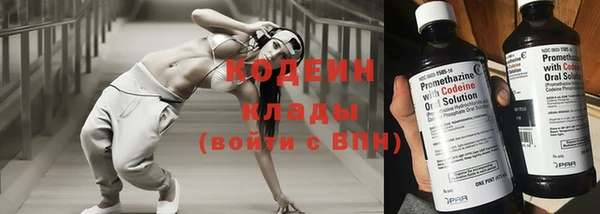 молекула духа Снежногорск