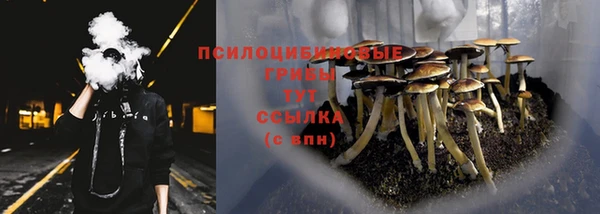ГАЛЛЮЦИНОГЕННЫЕ ГРИБЫ Валдай