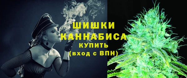 молекула духа Снежногорск