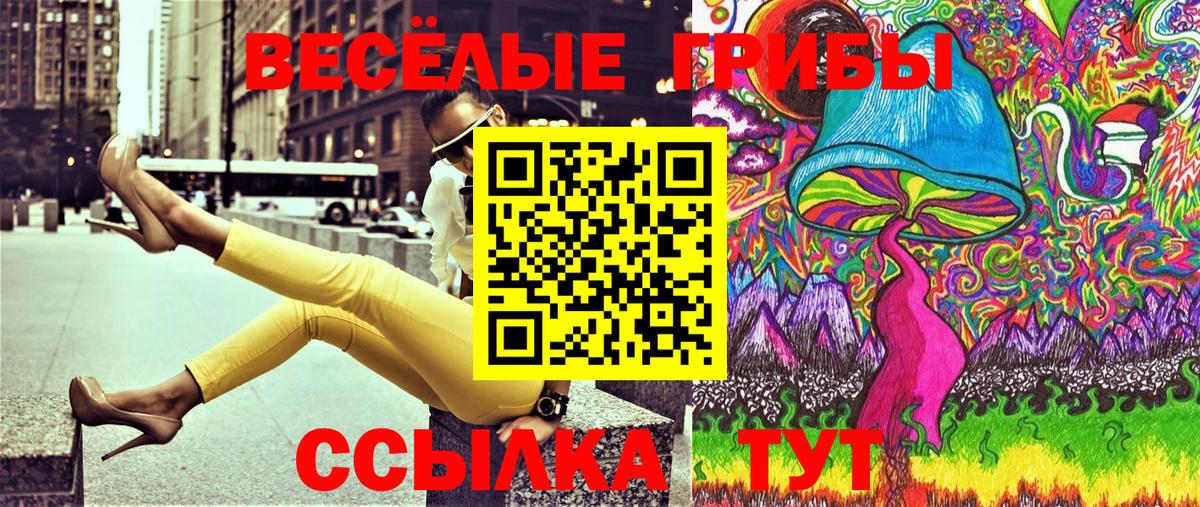 где купить наркоту  Псилоцибиновые грибы Cubensis  Галлюциногенные грибы прущие грибы  Вход с VPN  Черногорск 