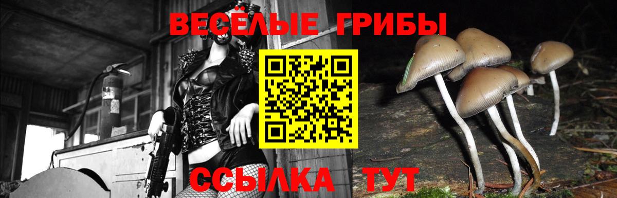 Галлюциногенные грибы MAGIC MUSHROOMS Черногорск